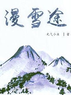 漫雪途封面