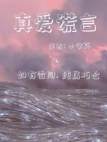 真爱谎言封面
