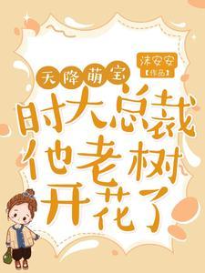 天降萌宝，时大总裁他老树开花了封面