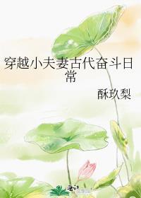 穿越小夫妻古代奋斗日常封面