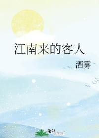 江南来的客人封面