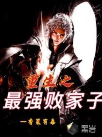重生之最强败家子封面