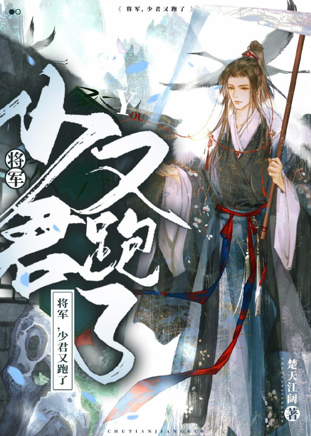 嫁给残废将军和亲后封面