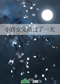 小宫女又活过了一天封面