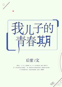 我儿子的青春期封面
