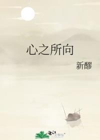 心之所向封面