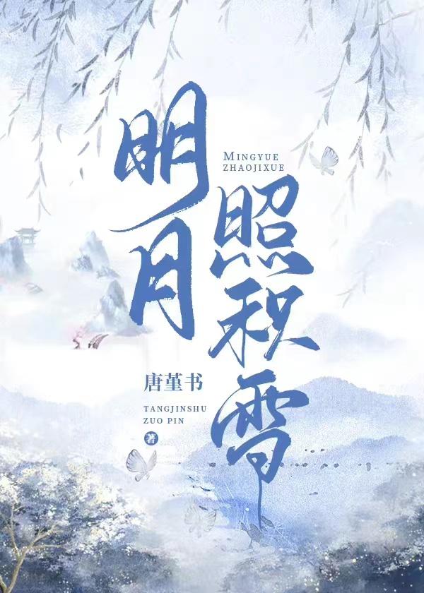 明月照积雪封面