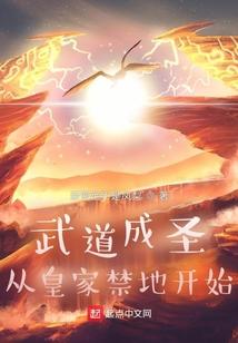 武道成圣：从皇家禁地开始封面