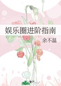 娱乐圈进阶指南封面