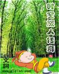 时空旅人传奇封面