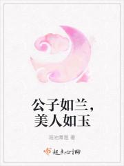 公子如兰，美人如玉封面