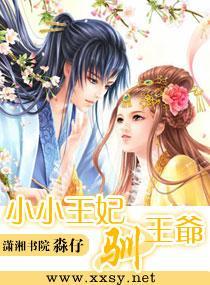 小小王妃驯王爷封面