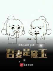 吾妻是黛玉封面