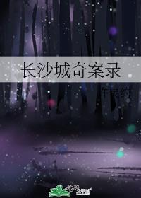 长沙城奇案录封面
