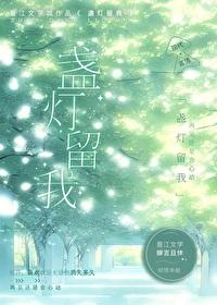 盏灯留我封面