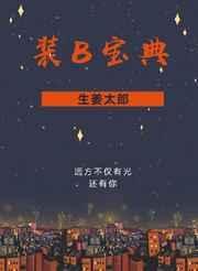 装B宝典封面