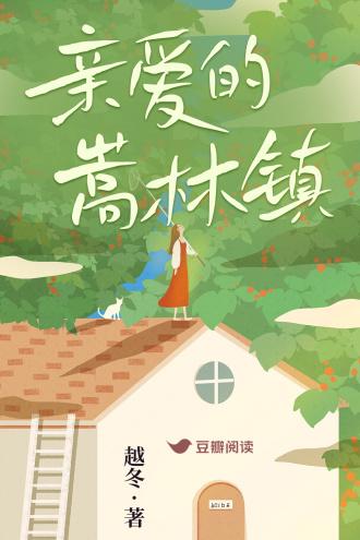 亲爱的嵩林镇封面