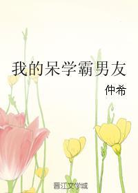 我的呆学霸男友封面