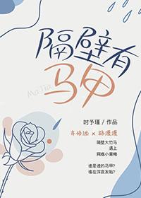 隔壁有马甲封面