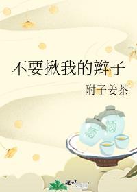 不要揪我的辫子封面