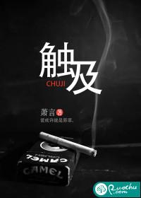 触及封面