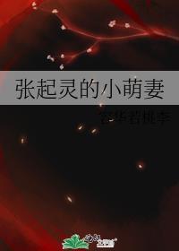 张起灵的小萌妻封面