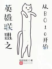 英雄联盟之从BO10开始封面