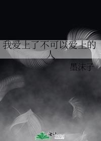 我爱上了不可以爱上的人封面