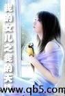 我的女儿之我的天使封面