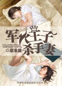 军火王子杀手妻封面