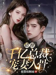 错撩！千亿总裁宠妻入骨封面