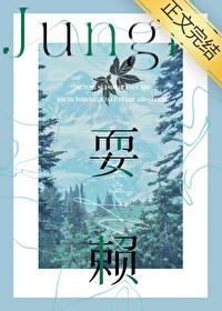 耍赖封面