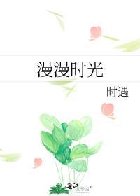 漫漫时光封面