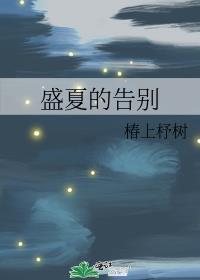 盛夏的告别封面
