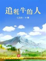 追牦牛的人封面