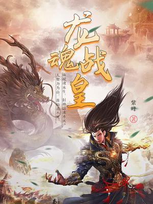 龙魂战皇封面