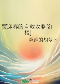 贾迎春的自救攻略[红楼]封面