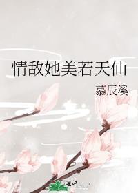 情敌她美若天仙封面