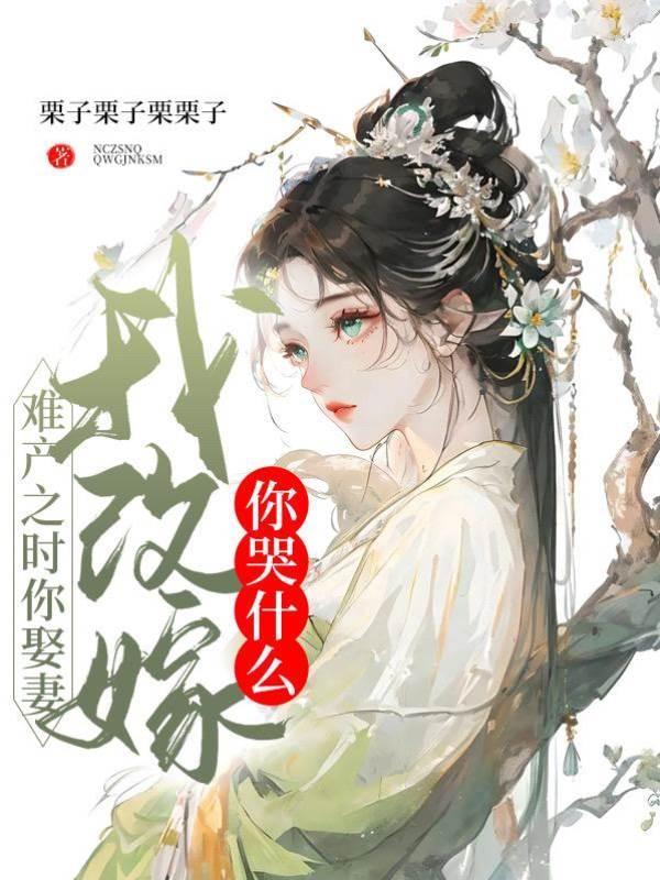 难产之时你娶妻，我改嫁你哭什么封面