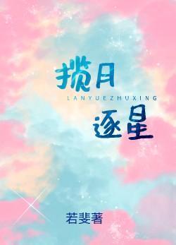 揽月逐星封面