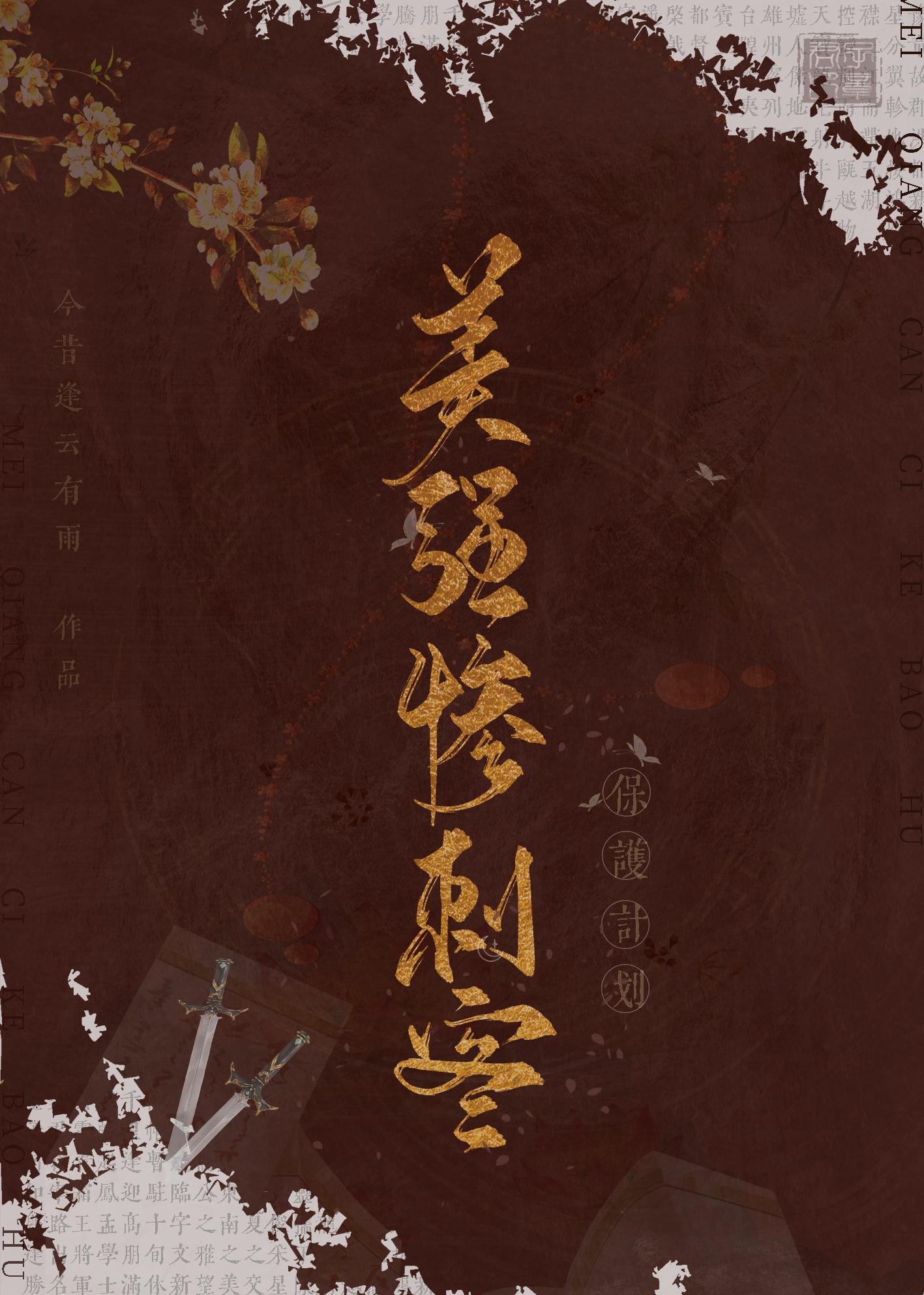 美强惨刺客保护计划封面