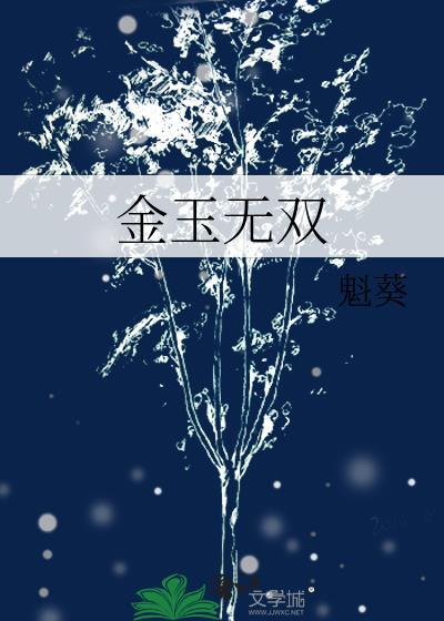 金玉无双封面