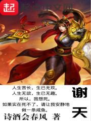 魔帝夜风林岚封面