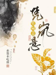 凭阑意，凭岚意封面