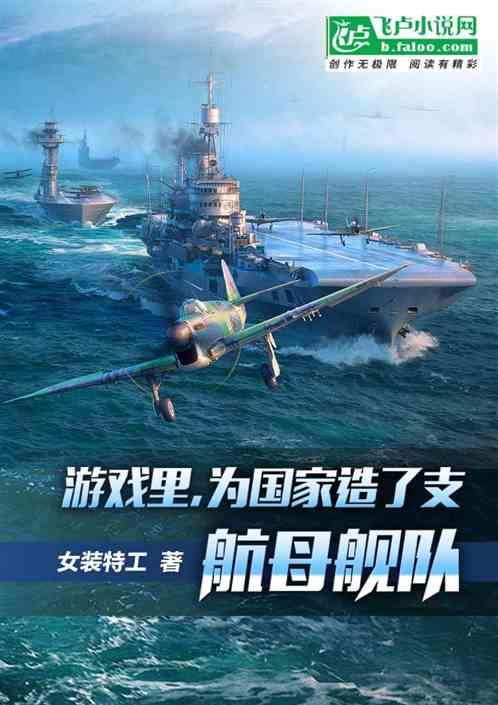 游戏里为国家造了支航母舰队封面