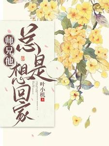 师兄他总是想回家封面