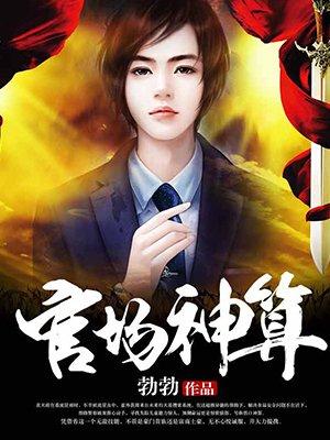 官场神算封面