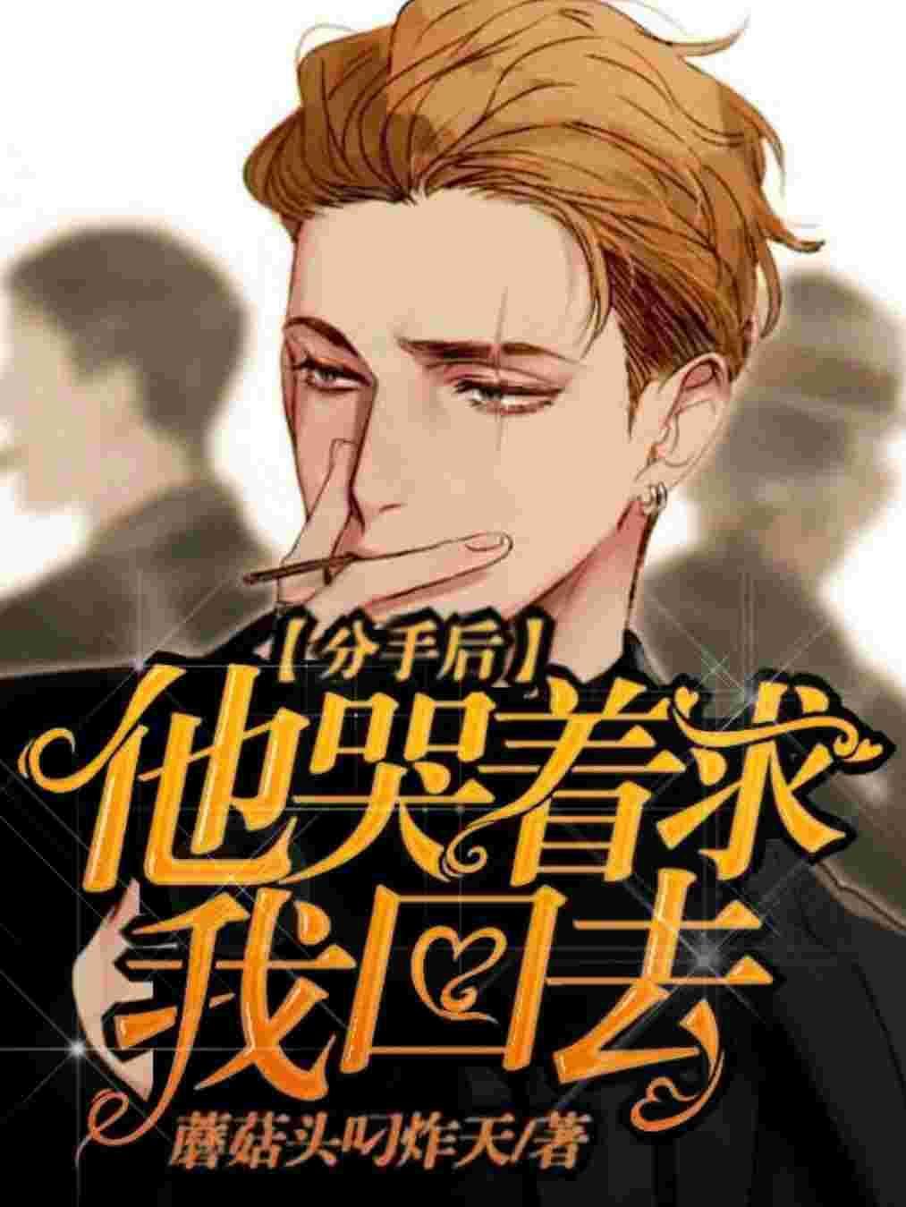 分手后他哭着求我回去封面