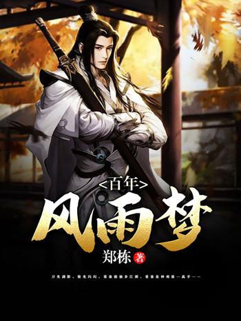 百年风雨梦封面