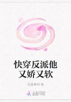 快穿反派他又娇又软封面